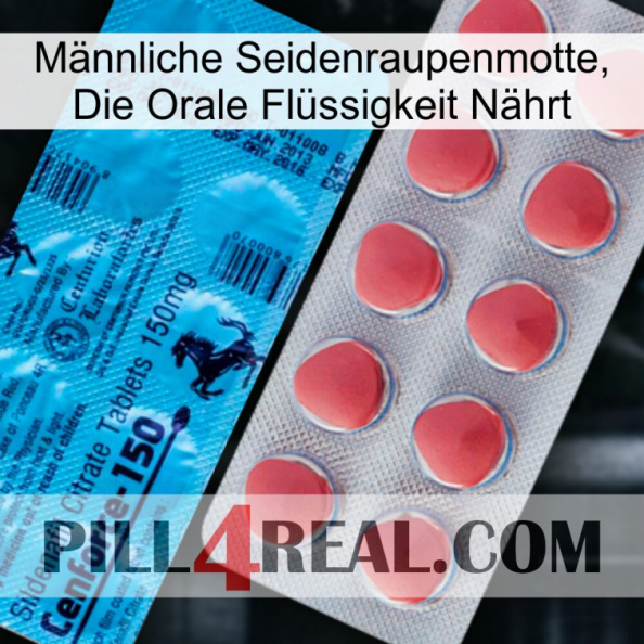 Männliche Seidenraupenmotte, Die Orale Flüssigkeit Nährt new14.jpg
